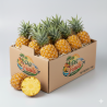 Ananas Victoria Réunionnais d'exception
